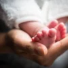 CRIBADO GENÉTICO PRENATAL NO INVASIVO PLUS