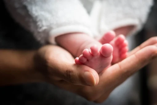 CRIBADO GENÉTICO PRENATAL NO INVASIVO PLUS