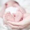 CRIBADO GENÉTICO PRENATAL NO INVASIVO STÁNDARD