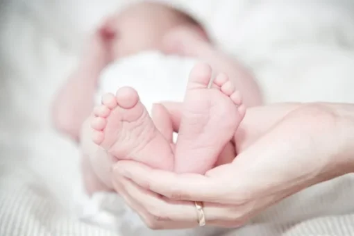 CRIBADO GENÉTICO PRENATAL NO INVASIVO STÁNDARD