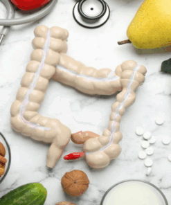 Test del microbioma intestinal